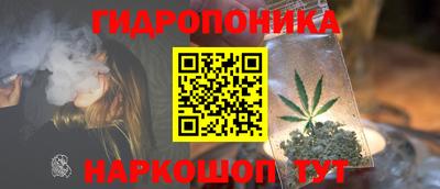 МДПВ Донецк